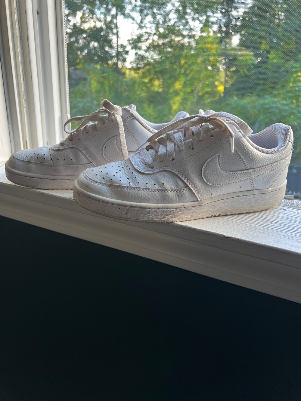 Nike White Low-Top Sneakers